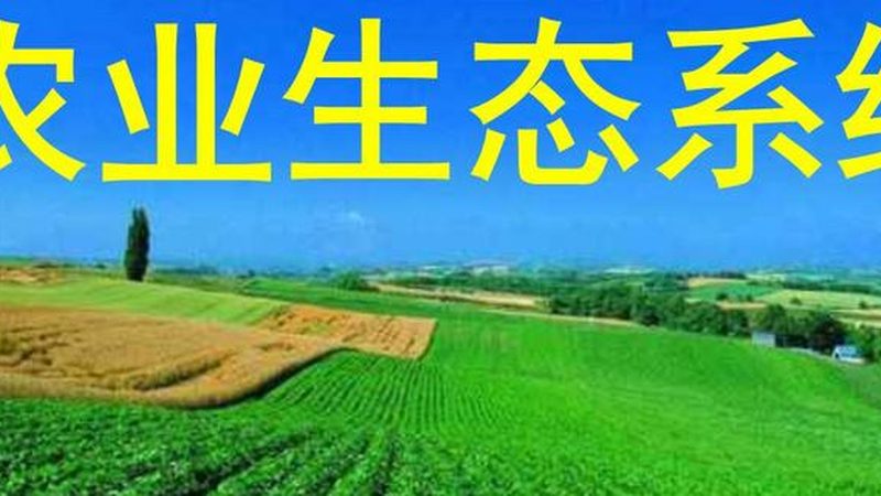 现代温室工程材料选择：关键因素与误区解析