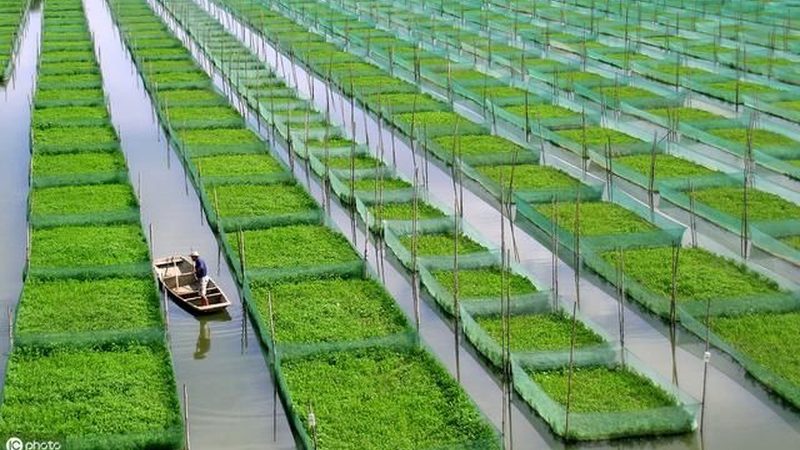 生鲜食材冷链物流配送公司推荐