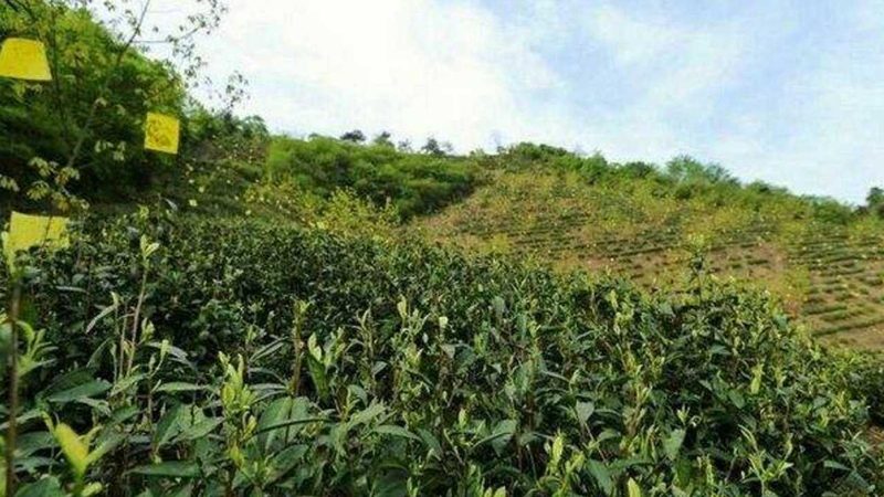 社区生鲜配送常见问题