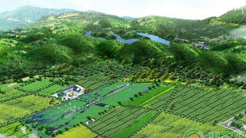 农产品批发商如何与供应商建立长期合作关系？**