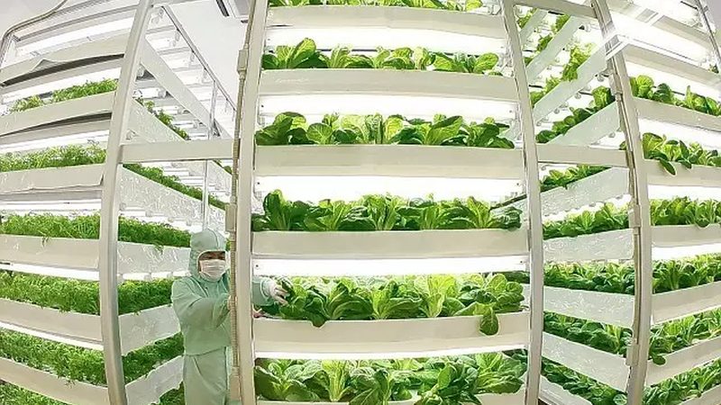 农产品线下推广渠道全解析：传统与创新并行