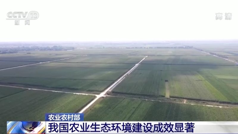 山东农业合作社代理：条件解析与费用考量**