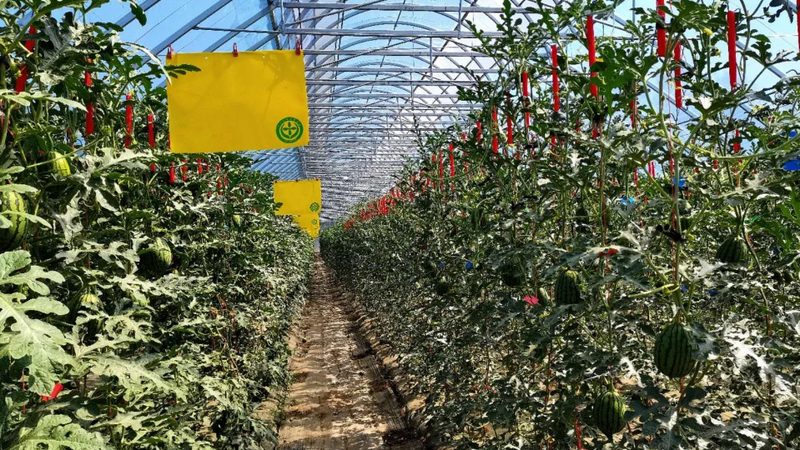 农业招标信息网站哪个好