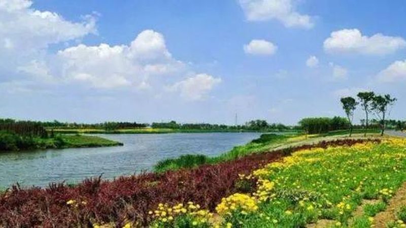 休闲农业园区规划：从规划到落地的关键步骤