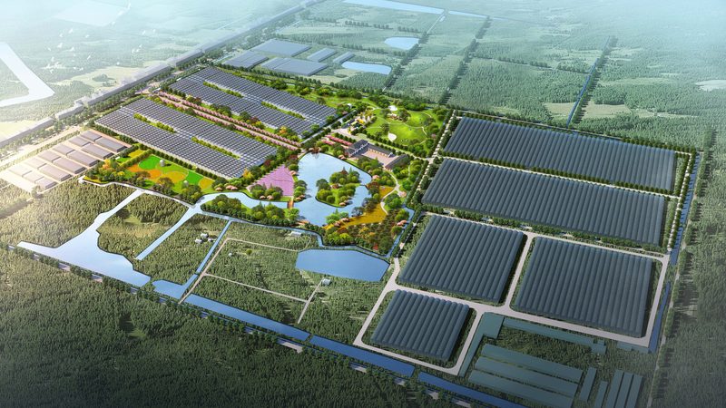 在对比不同厂家的报价时，可以从以下几个方面进行：