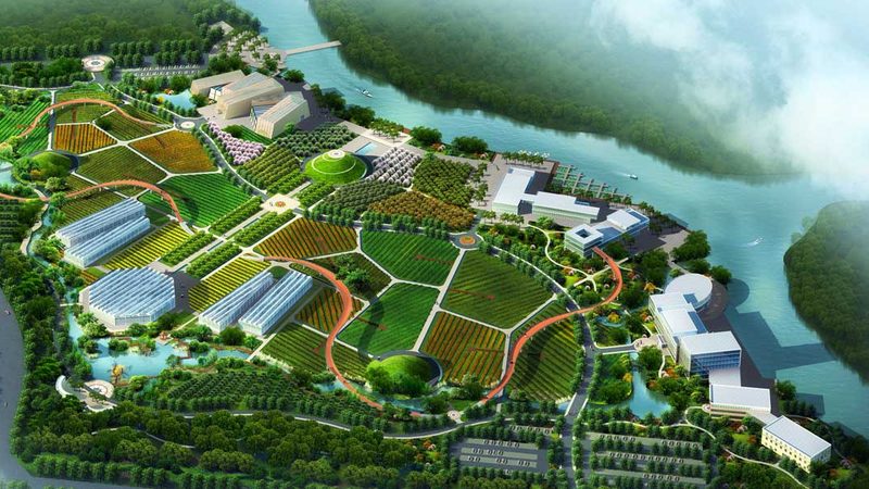 农业合作社如何助力农户风险防控**