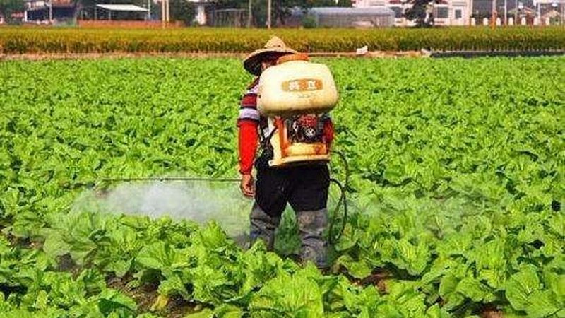 生鲜配送中心建设标准规范：构建高效冷链保障