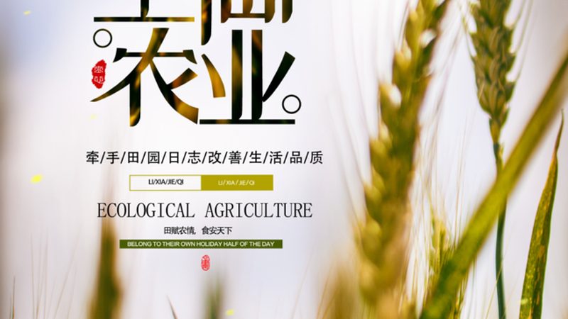 揭秘有机蔬菜基地排名背后的秘密